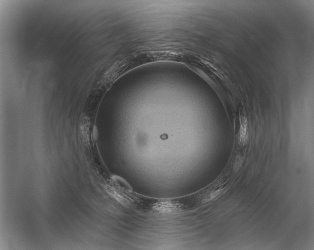 X0000059060231200510071050