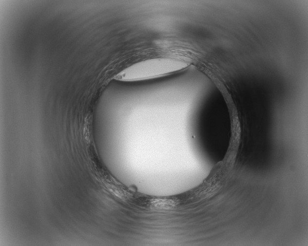 X0000059060234200510071050