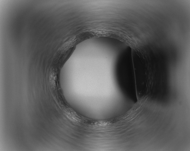 X0000059060235200510071050