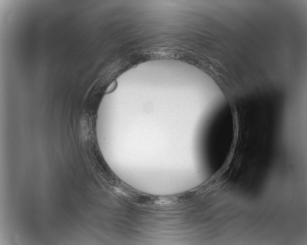 X0000059060236200510071050