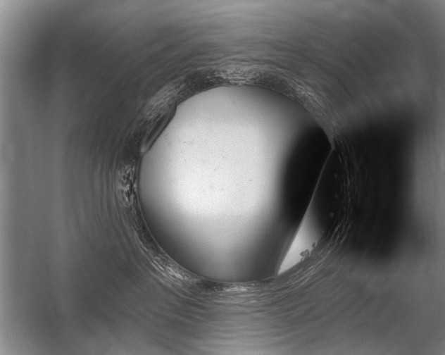 X0000059060237200510071050