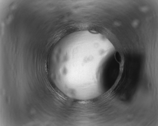 X0000059060238200510071050