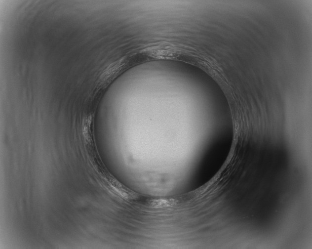 X0000059060239200510071050