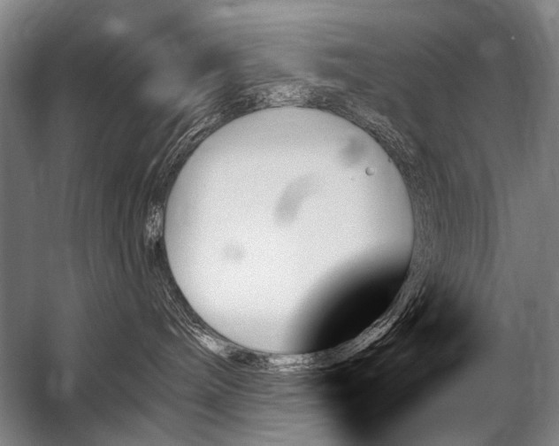 X0000059060240200510071050