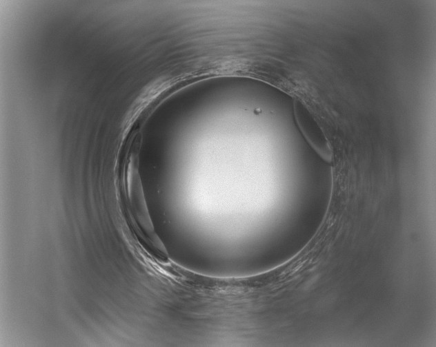 X0000059060242200510071049