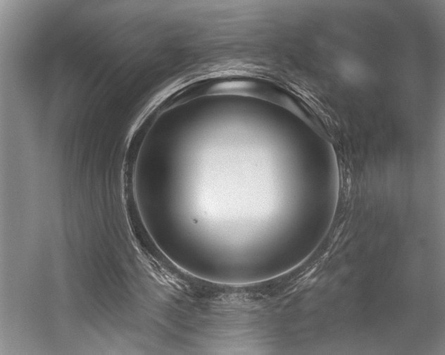 X0000059060244200510071049