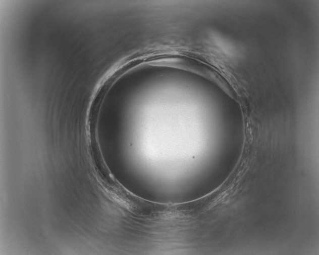 X0000059060246200510071049