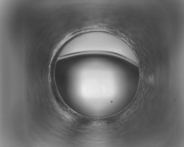 X0000059060248200510071049