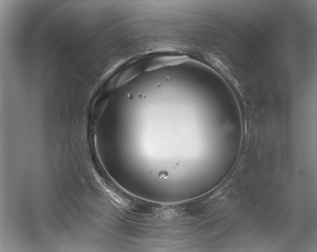 X0000059060249200510071049