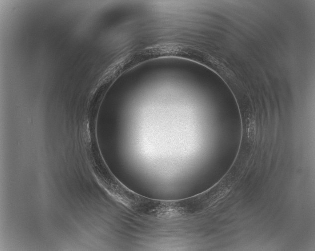 X0000059060254200510071049