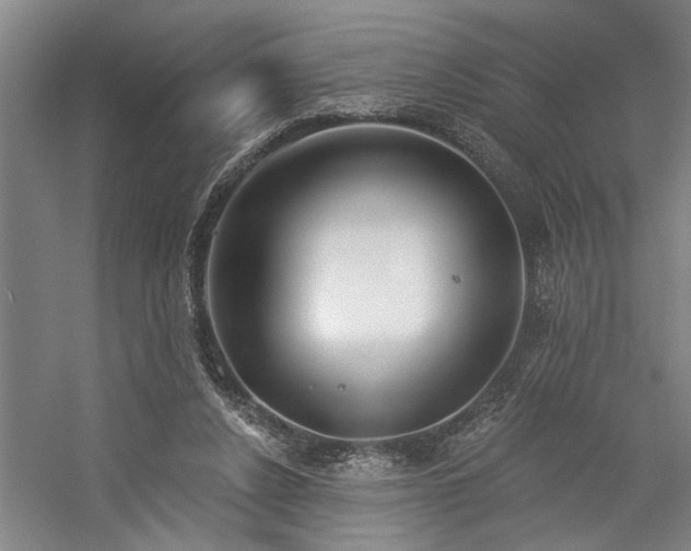 X0000059060256200510071049