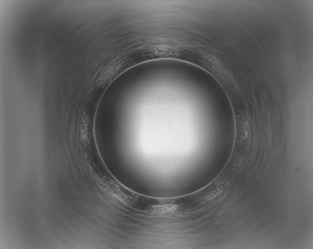 X0000059060266200510071050