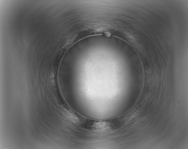 X0000059060269200510071050