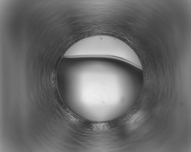 X0000059060281200510071050