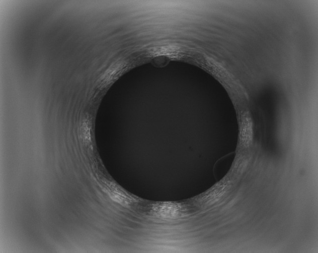 X0000059060282200510071050