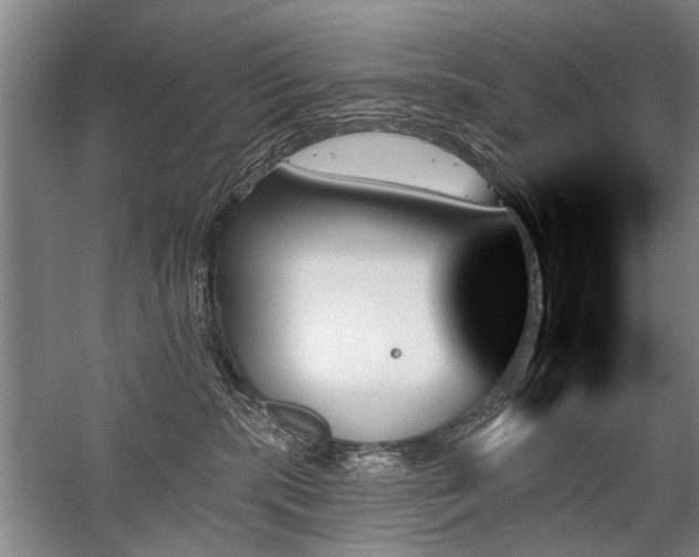 X0000059060283200510071050