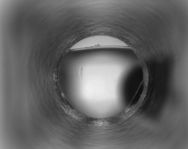 X0000059060284200510071050