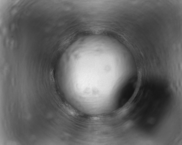 X0000059060286200510071050