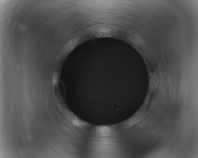 X0000059060287200510071050