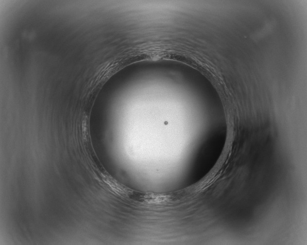 X0000059060288200510071050