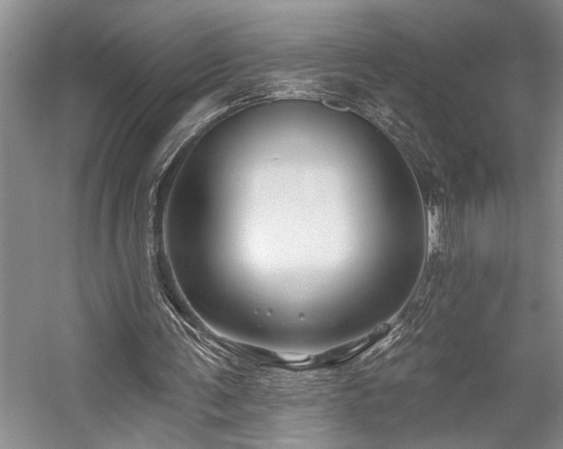 X0000059060291200510071049