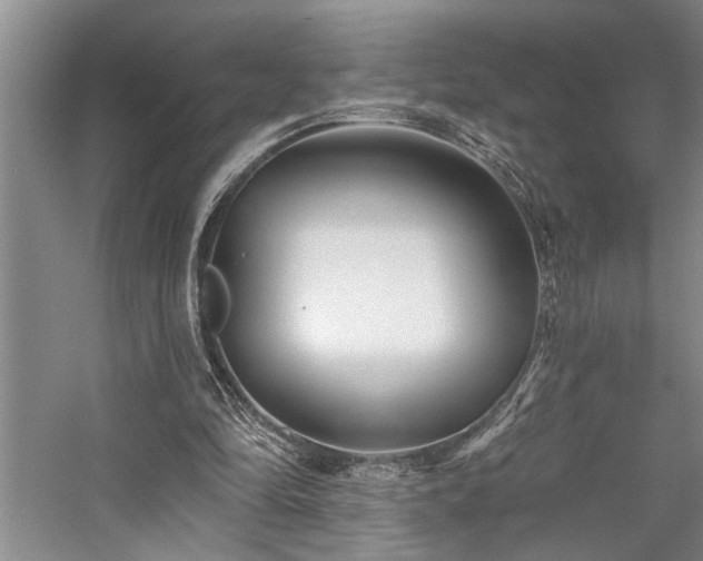 X0000059060294200510071049