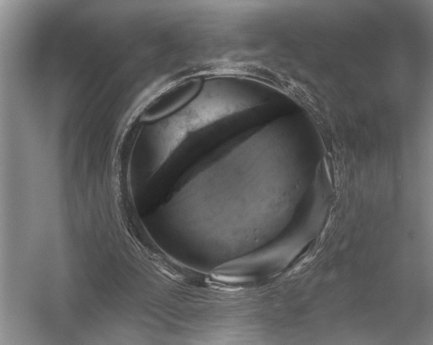 X0000059060295200510071049