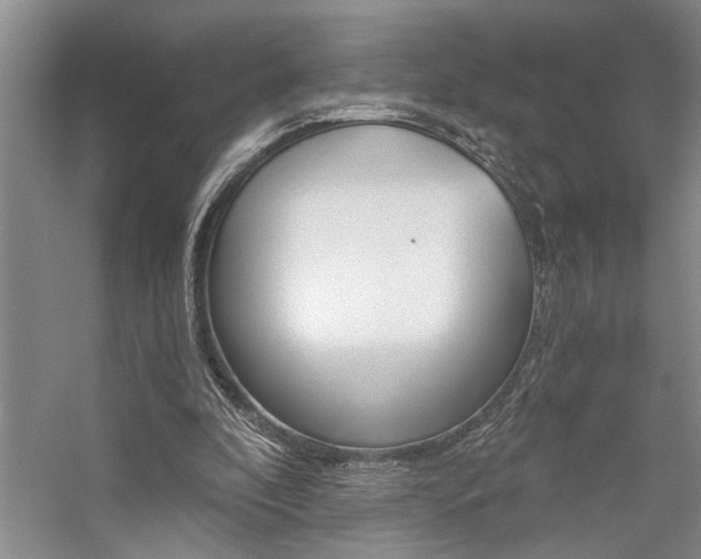 X0000059060296200510071049