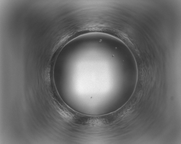 X0000059060299200510071049