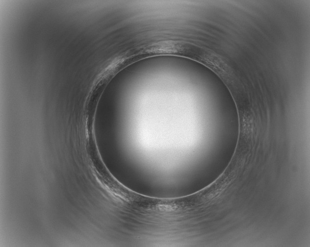 X0000059060302200510071049