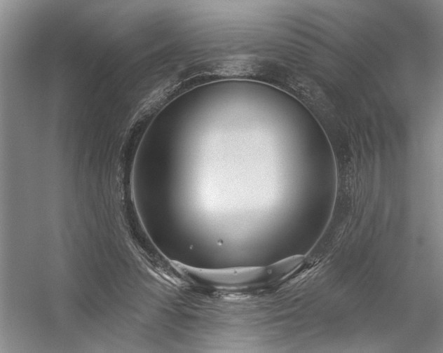 X0000059060303200510071049