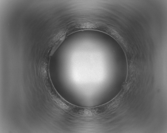 X0000059060305200510071049