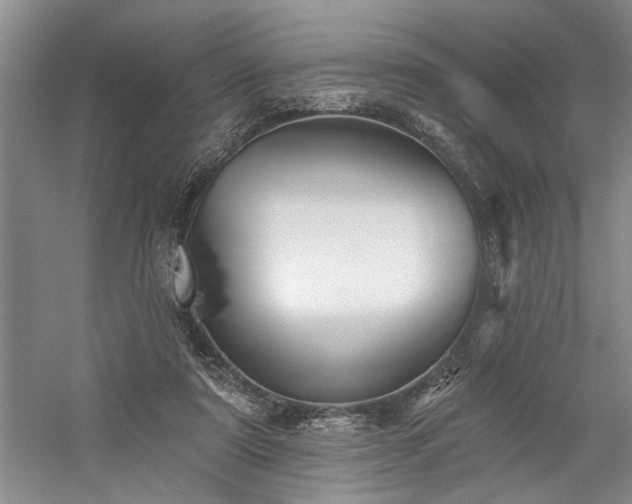 X0000059060307200510071049