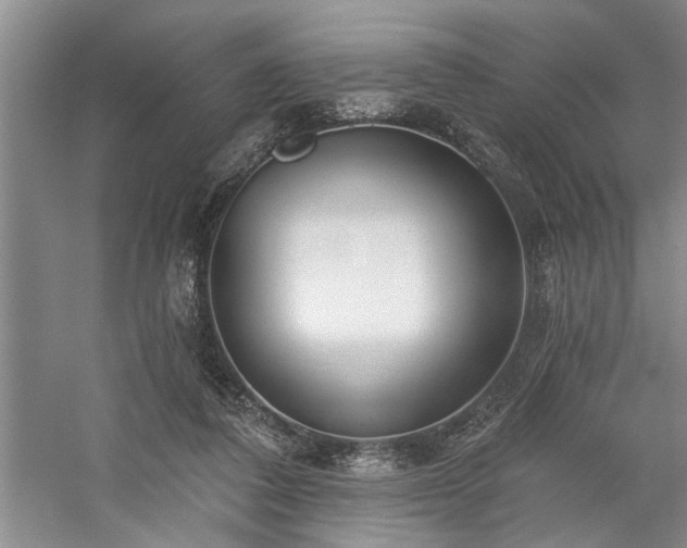 X0000059060308200510071049