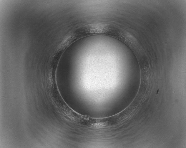 X0000059060312200510071049