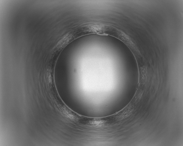 X0000059060313200510071049