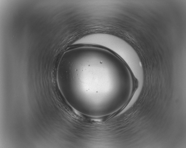 X0000059060317200510071049