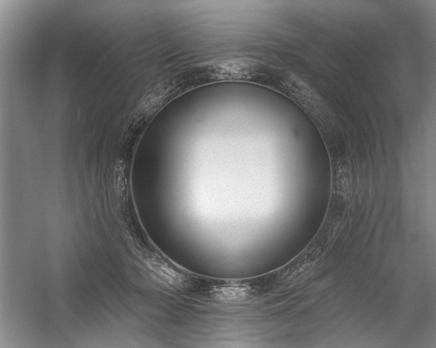 X0000059060318200510071049