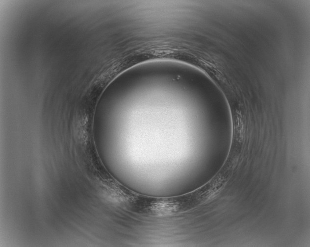 X0000059060319200510071049