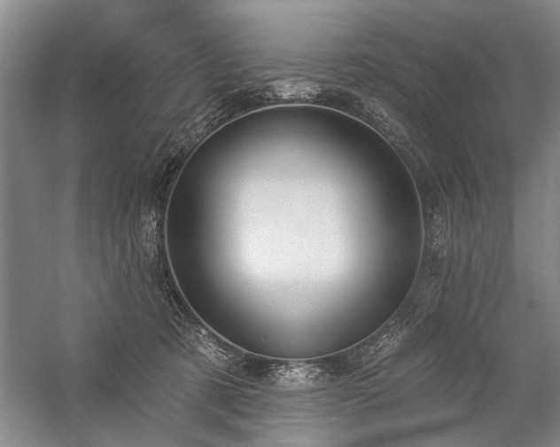 X0000059060321200510071049