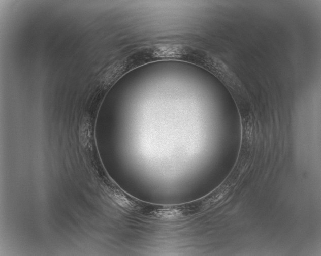 X0000059060322200510071049