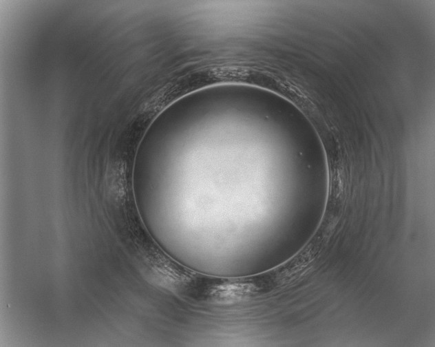 X0000059060323200510071049