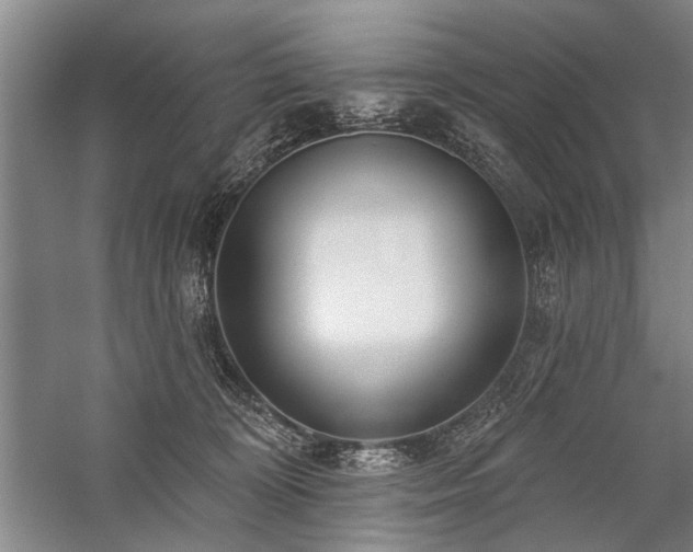 X0000059060324200510071049