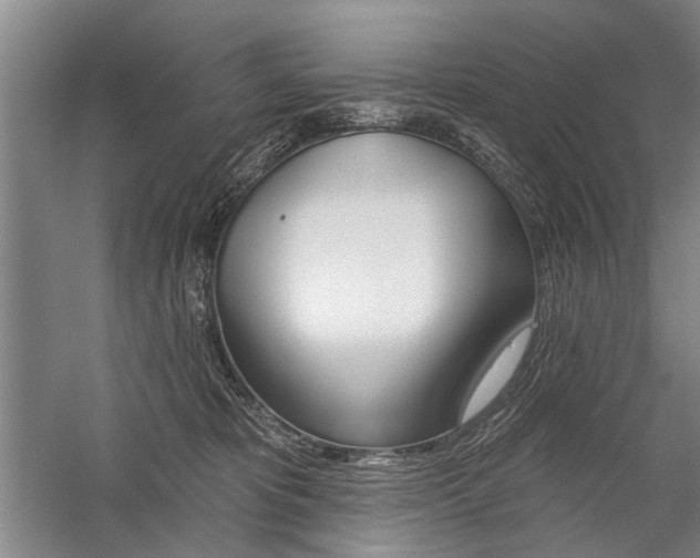 X0000059060325200510071049