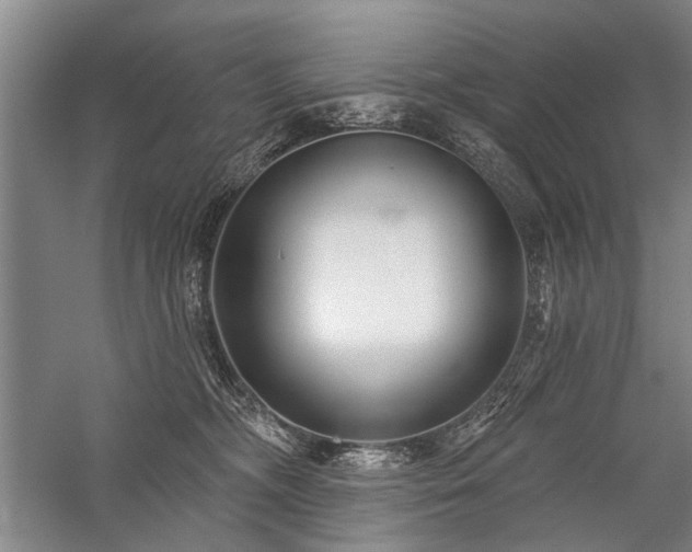 X0000059060326200510071049