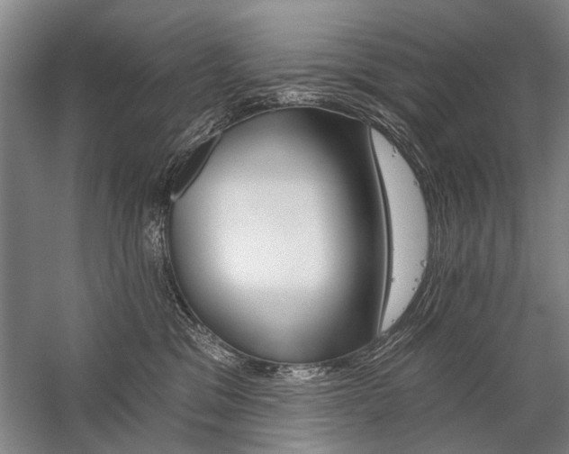 X0000059060329200510071048