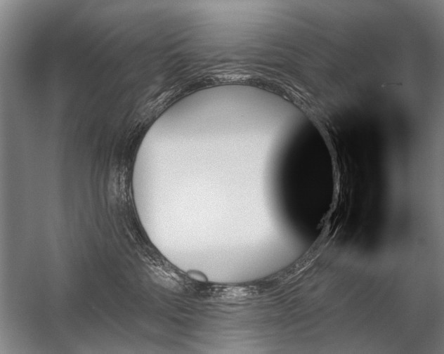 X0000059060330200510071048