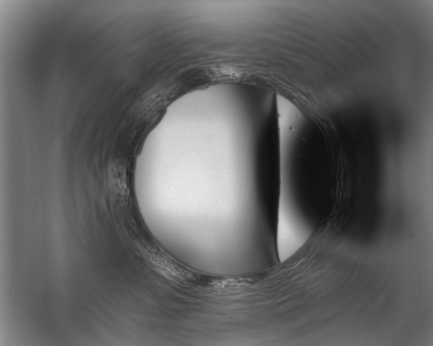 X0000059060331200510071048