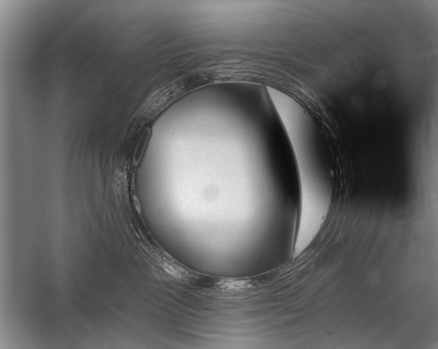 X0000059060333200510071048