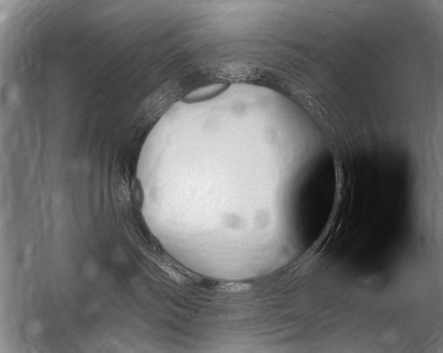 X0000059060334200510071048